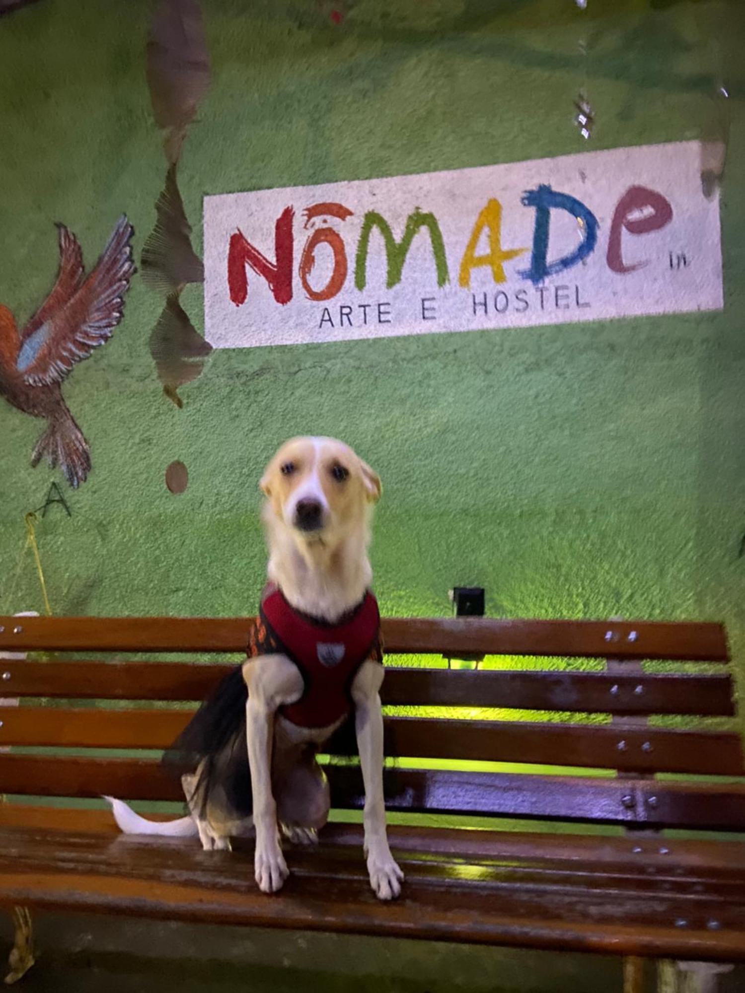 Nomade In Arte E Hostel 상파울루 외부 사진